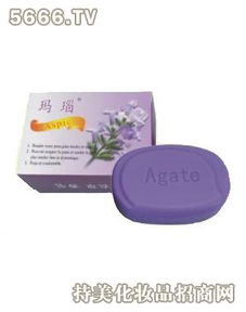 雪健洗滌用品加盟指南 投資成本與加盟流程詳解